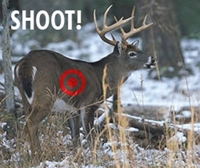 Where To Shoot a Deer