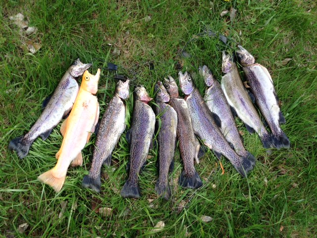 Maryland Trout Season 2018