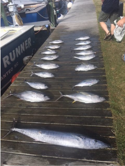 Tuna Fishing – Outer Banks North Carolina